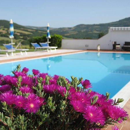 Agriturismo Il Cavallino Saturnia Semproniano Eksteriør bilde